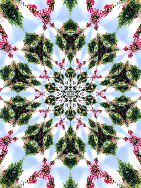 IMG_3783的副本.JPG IMG_3783的副本.JPG