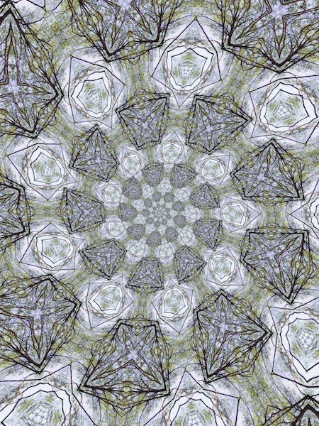 IMG_3784的副本.JPG IMG_3784的副本.JPG