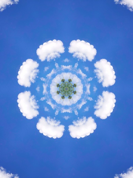 IMG_3782的副本.JPG IMG_3782的副本.JPG