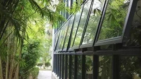 17.webp.jpg 17.webp.jpg