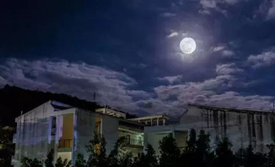 9.webp.jpg 9.webp.jpg