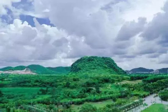 13.webp.jpg 13.webp.jpg