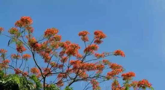 1.webp.jpg 1.webp.jpg