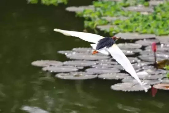 3.webp.jpg 3.webp.jpg