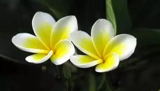 18.webp.jpg 18.webp.jpg