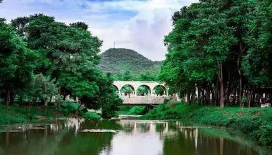 10.webp.jpg 10.webp.jpg