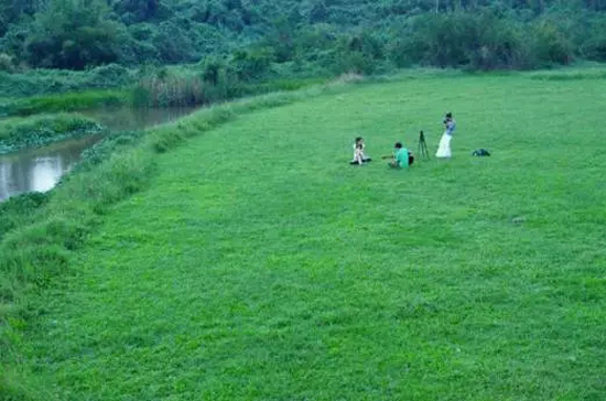 5.webp.jpg 5.webp.jpg