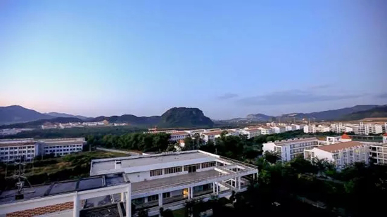 9.webp.jpg 9.webp.jpg