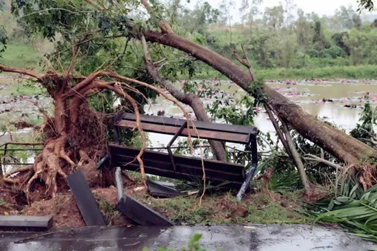 6.webp.jpg 6.webp.jpg