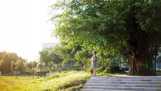 17.webp.jpg 17.webp.jpg