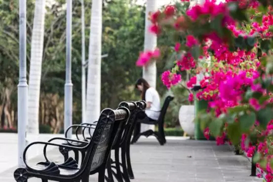 14.webp.jpg 14.webp.jpg