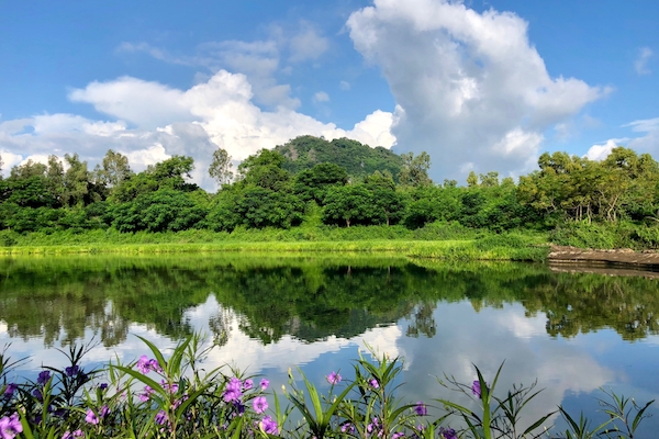 IMG_2279 (1)的副本.jpg
