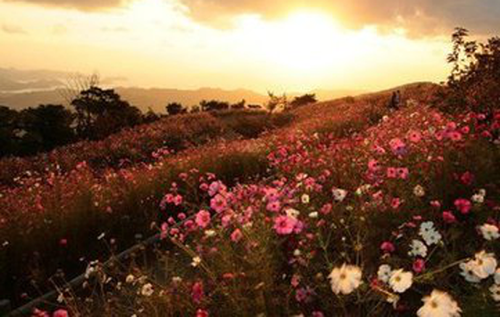 图片8.png 图片8.png