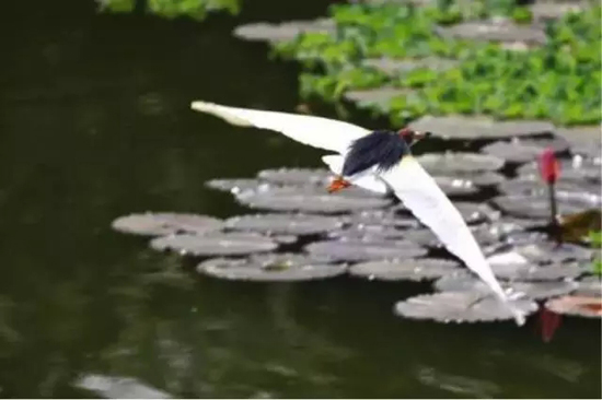 13.webp.jpg 13.webp.jpg