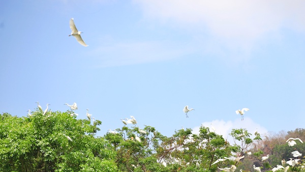 IMG_8419-01的副本.jpeg