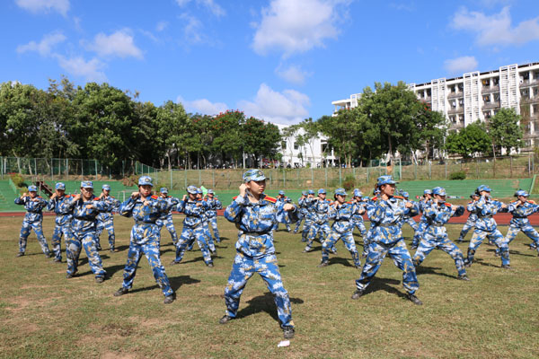 11.jpg