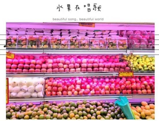 54.webp.jpg 54.webp.jpg