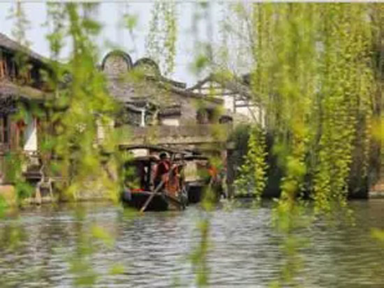 6.webp.jpg 6.webp.jpg