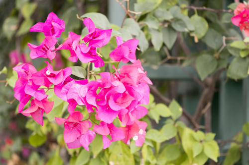 图片17.png 图片17.png