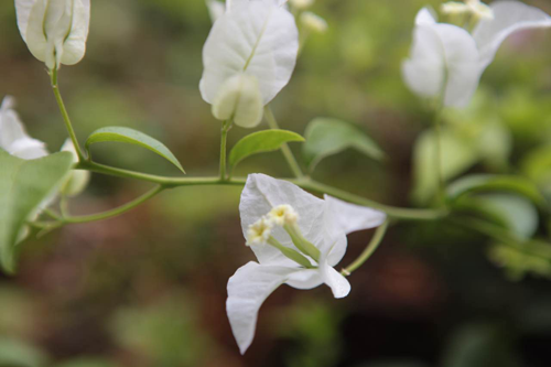 图片7.png 图片7.png