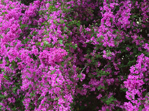 图片15.png 图片15.png