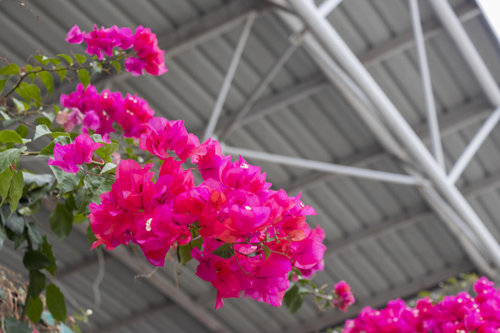 图片14.png 图片14.png