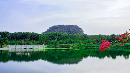 图片2.png 图片2.png