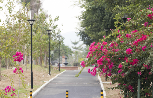 图片16.png 图片16.png