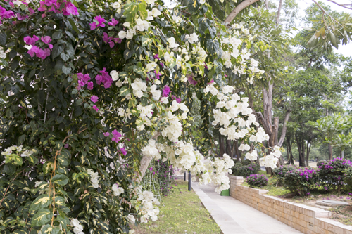 图片18.png 图片18.png