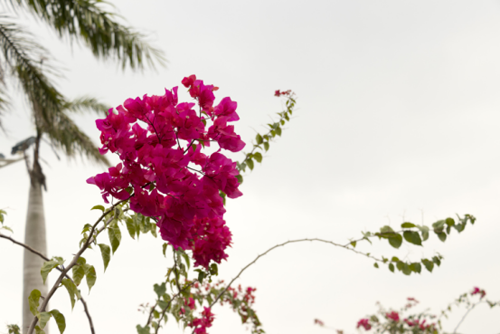 图片11.png 图片11.png