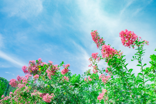 图片13.png 图片13.png