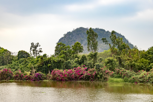 图片4.png 图片4.png