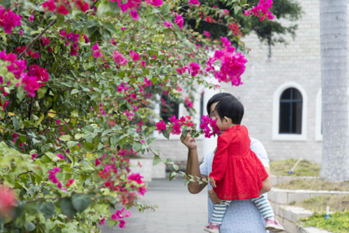 图片12.png 图片12.png