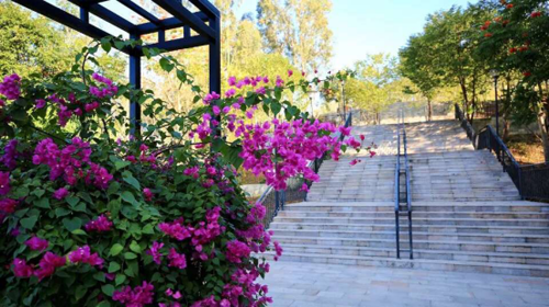 图片5.png 图片5.png